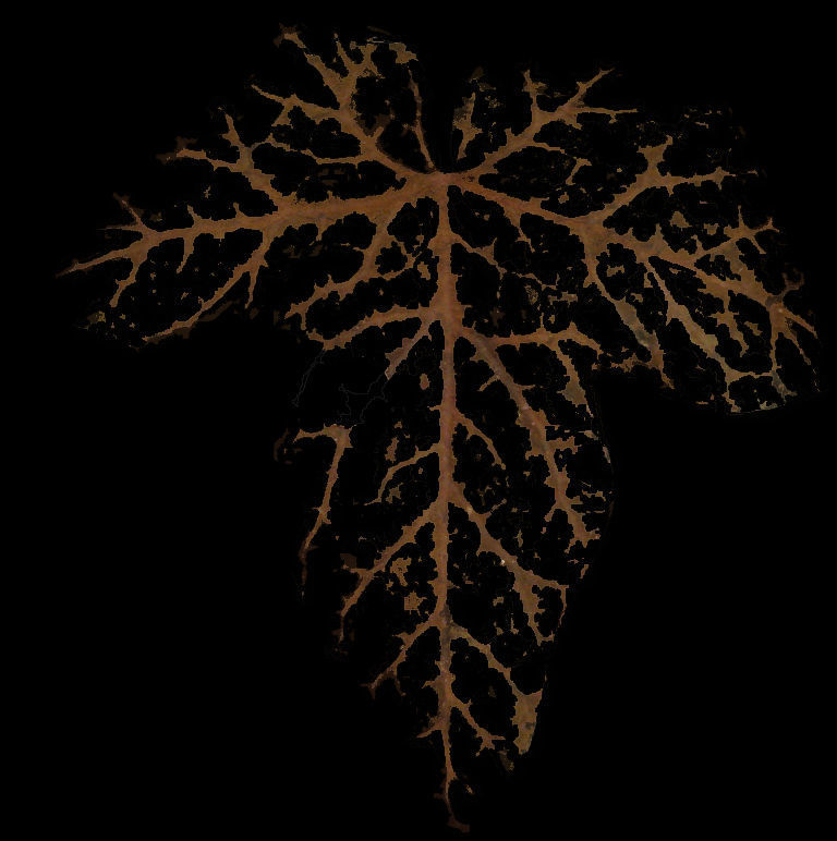 Low Poly Ivy Leaves - Game-Ready Nature Clusters with Textures 3D model_33