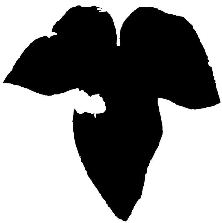 Low Poly Ivy Leaves - Game-Ready Nature Clusters with Textures 3D model_12