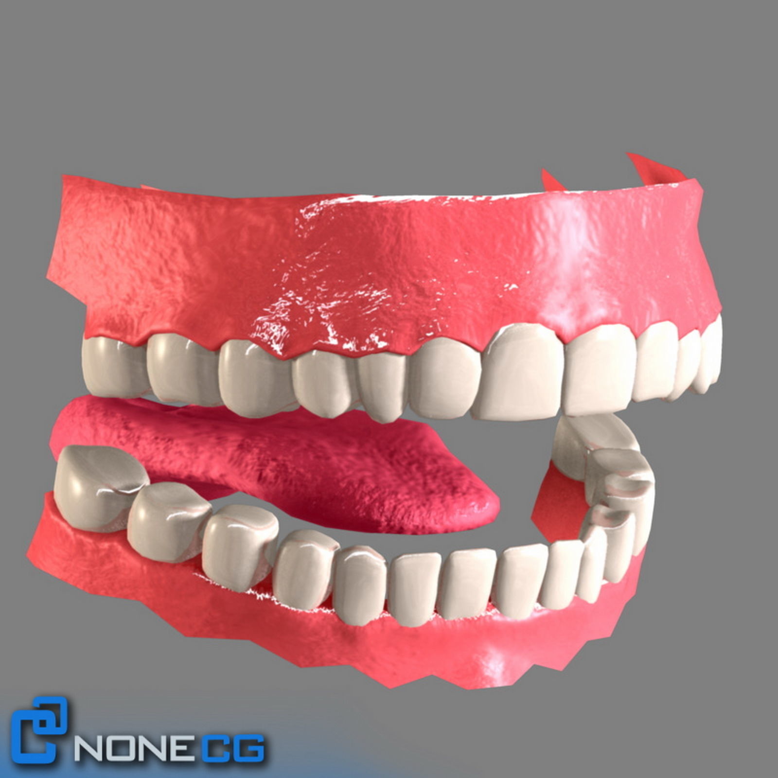 Adult Female Jessy Rigged 3D model_13