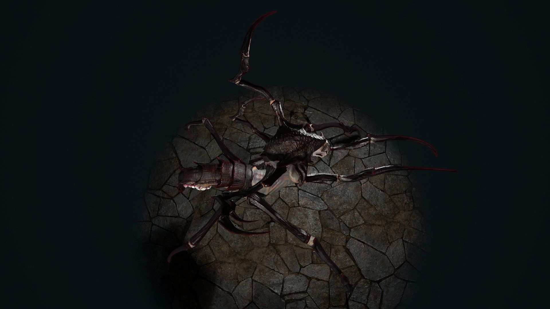 Spider 7 creature with long arms and legs Low-poly 3D model_29