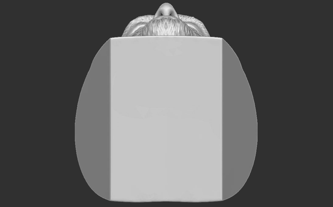 Thor Chris Hemsworth bust for 3D printing 3D print model_21