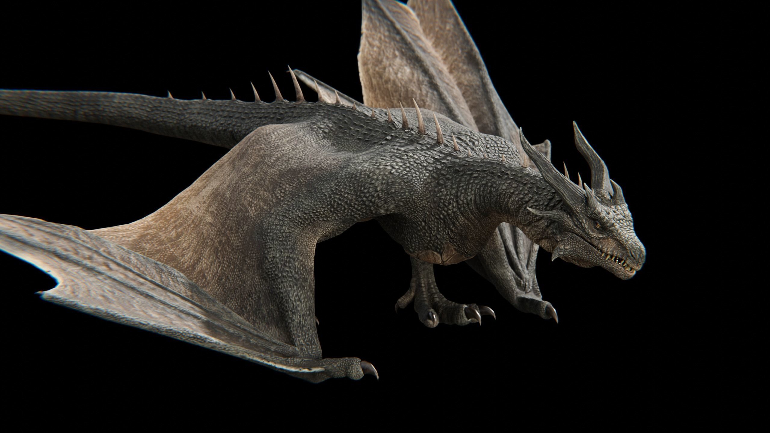 Dragon Wyvern Low-poly 3D model_31