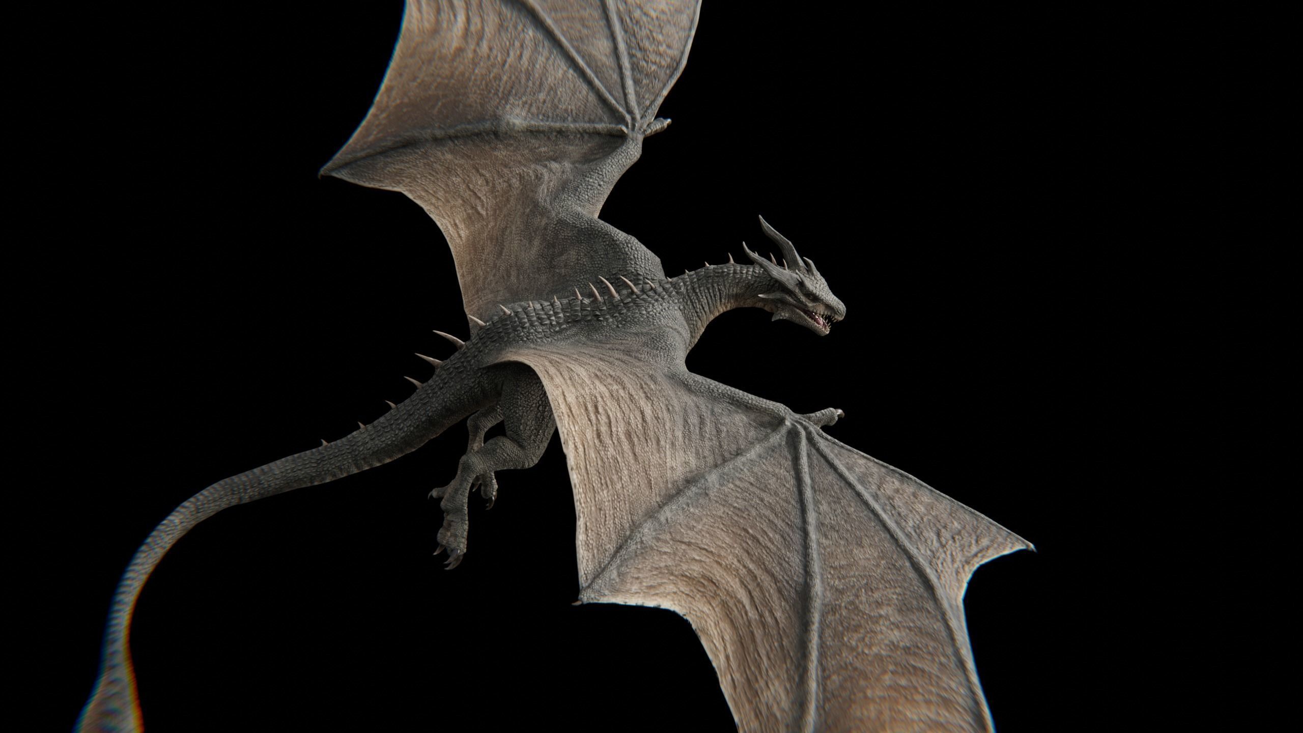 Dragon Wyvern Low-poly 3D model_28