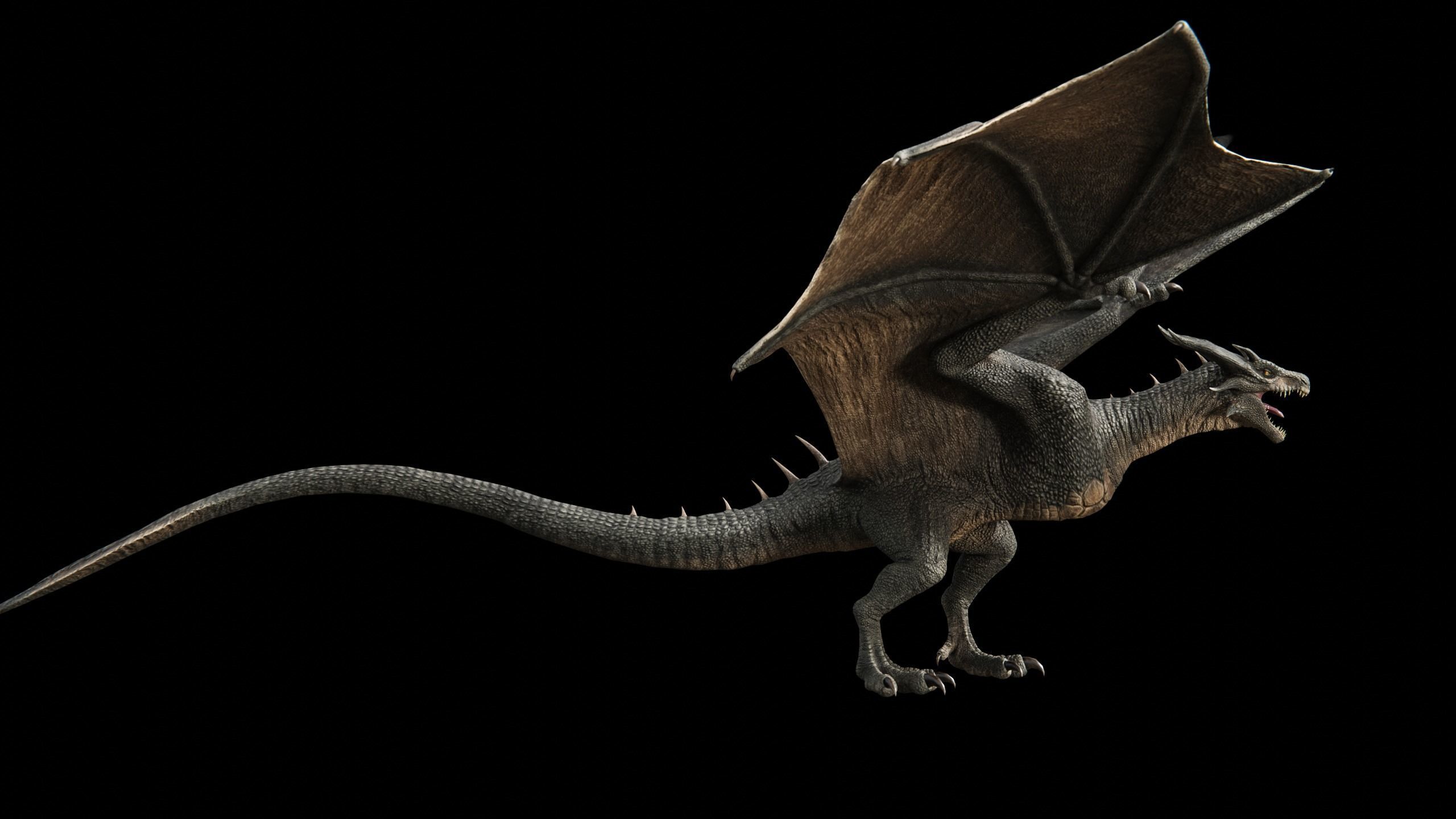 Dragon Wyvern Low-poly 3D model_33
