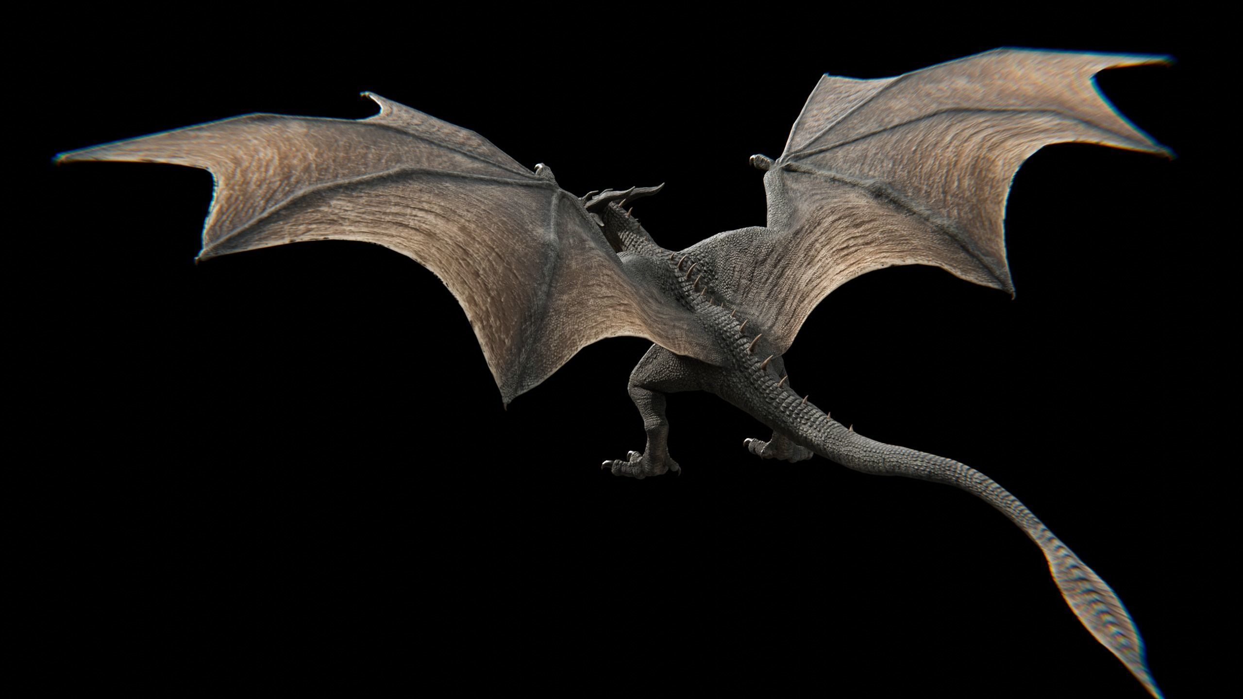 Dragon Wyvern Low-poly 3D model_21