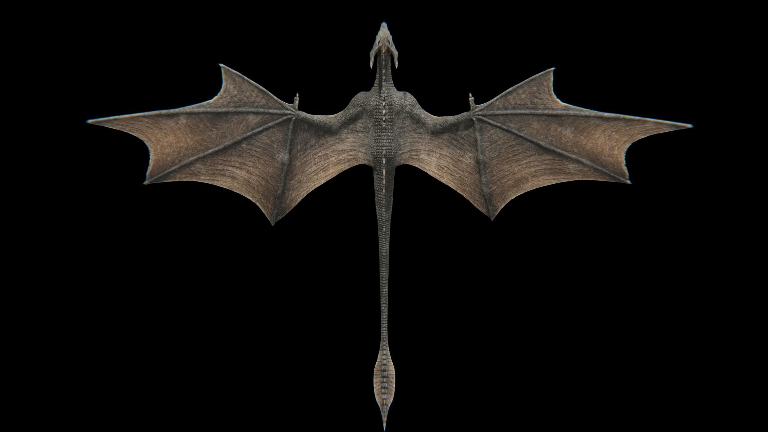 Dragon Wyvern Low-poly 3D model_26