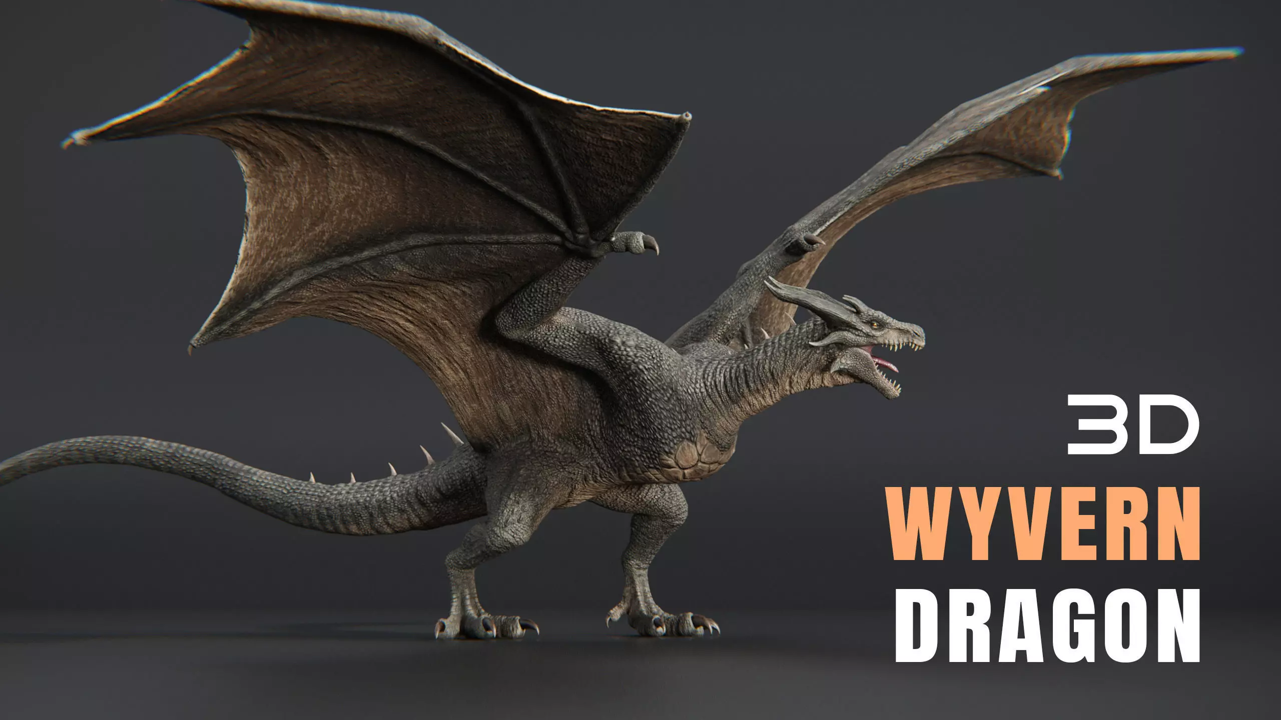 Dragon Wyvern Low-poly 3D model_0