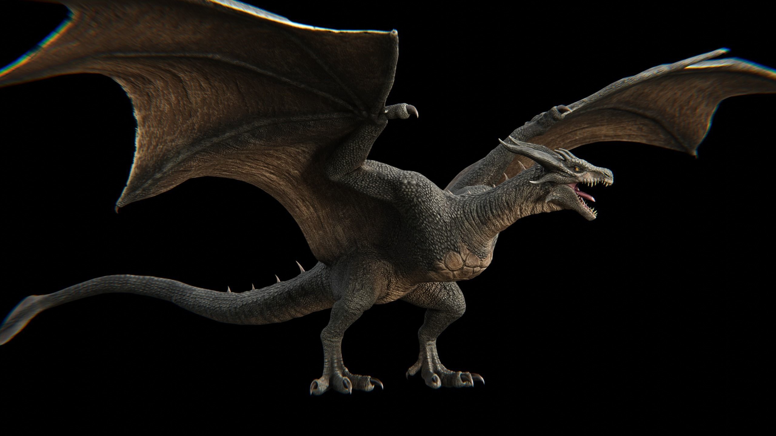 Dragon Wyvern Low-poly 3D model_32