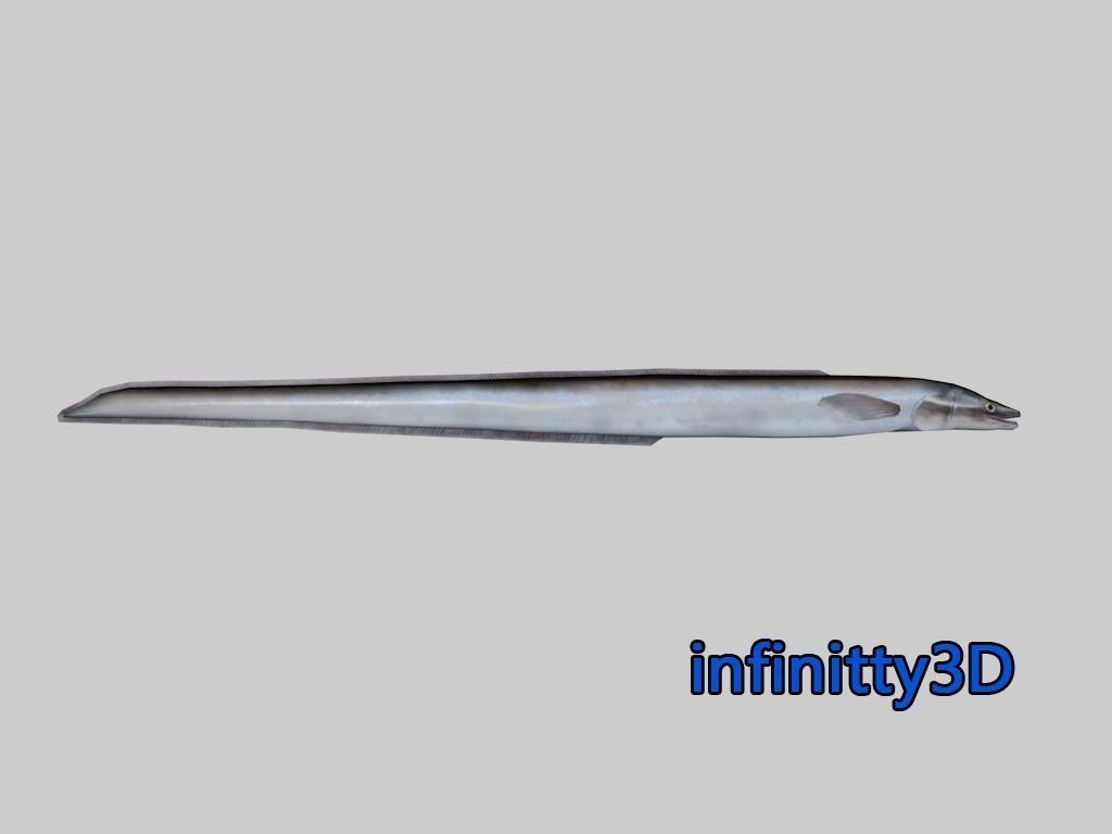 Coral Fish Pack 2 Low-poly 3D model_7