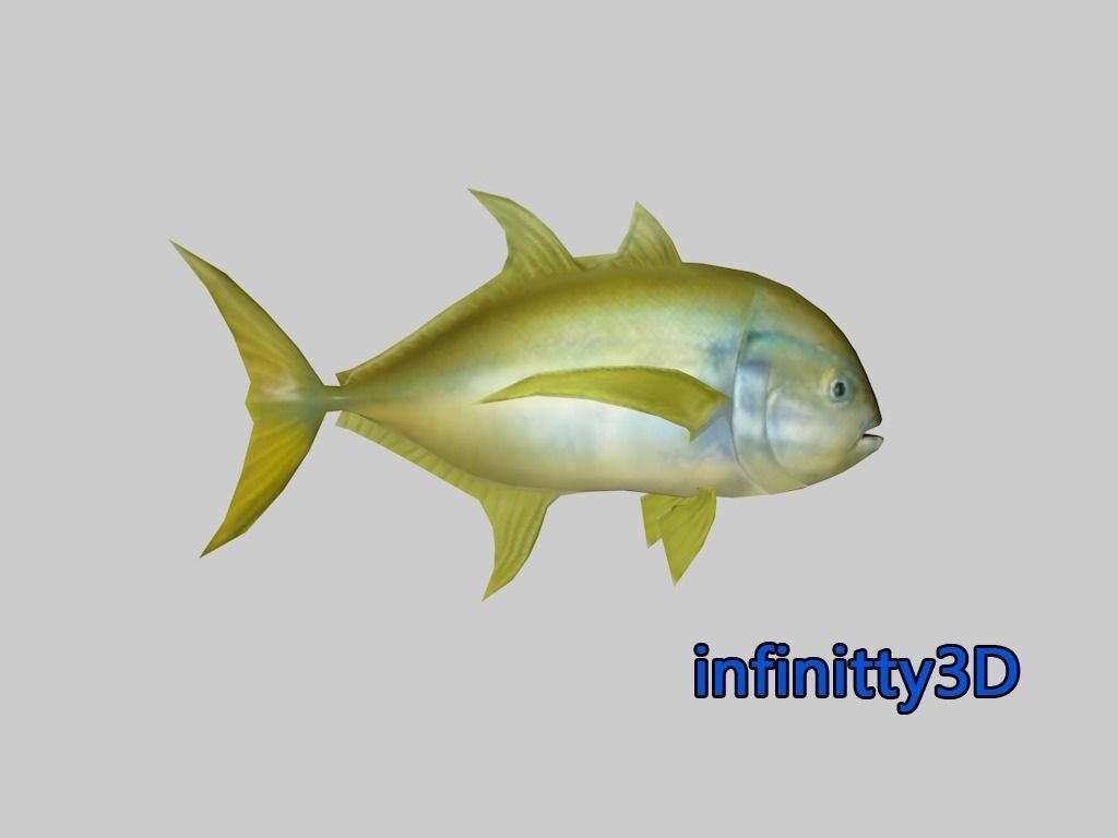 Coral Fish Pack 2 Low-poly 3D model_8