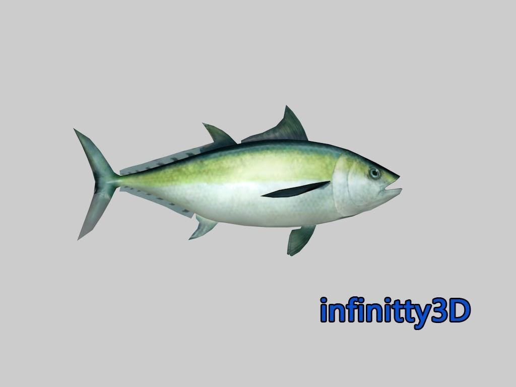 Coral Fish Pack 2 Low-poly 3D model_10