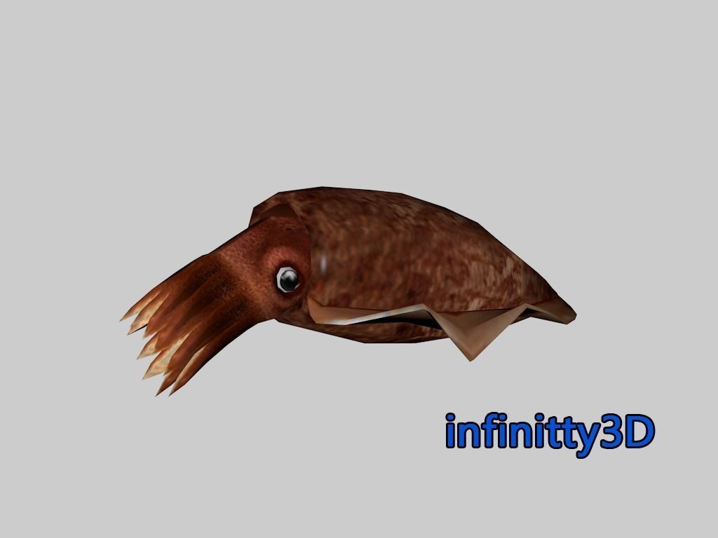 Coral Fish Pack 2 Low-poly 3D model_15