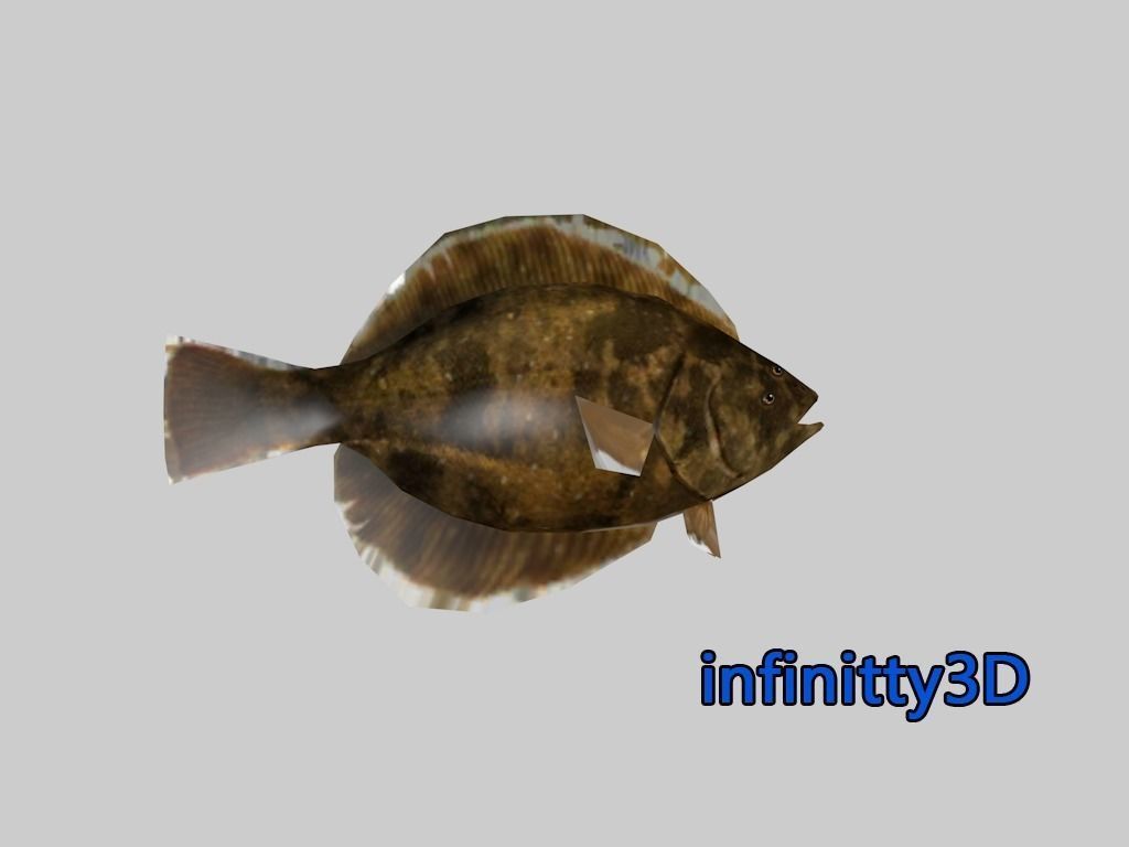 Coral Fish Pack 2 Low-poly 3D model_1