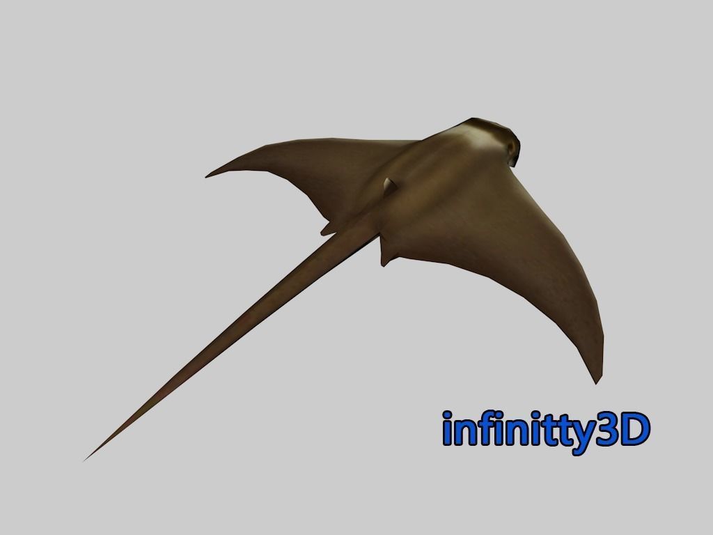 Coral Fish Pack 2 Low-poly 3D model_5