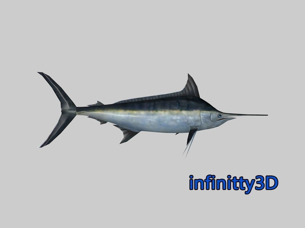 Coral Fish Pack 2 Low-poly 3D model_4