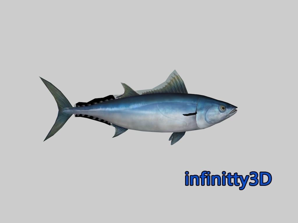 Coral Fish Pack 2 Low-poly 3D model_2