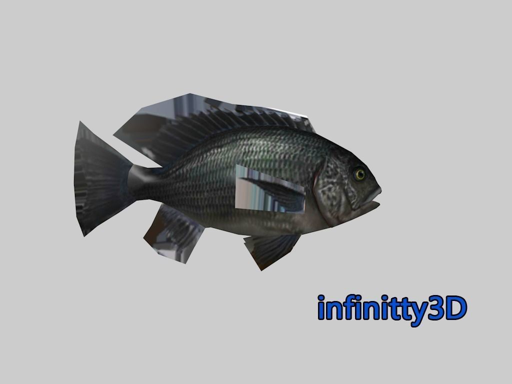 Coral Fish Pack 2 Low-poly 3D model_9