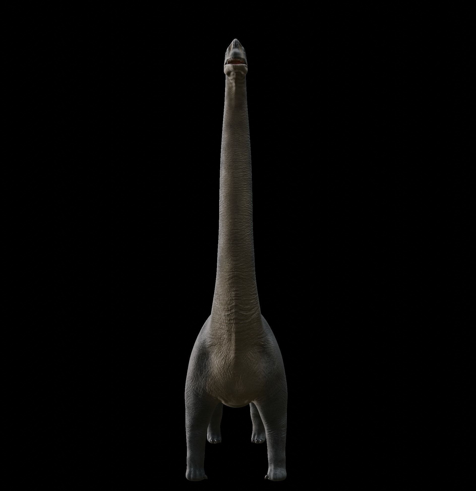 Brachiosaurus dinosaur Low-poly 3D Model  Low-poly 3D model_11