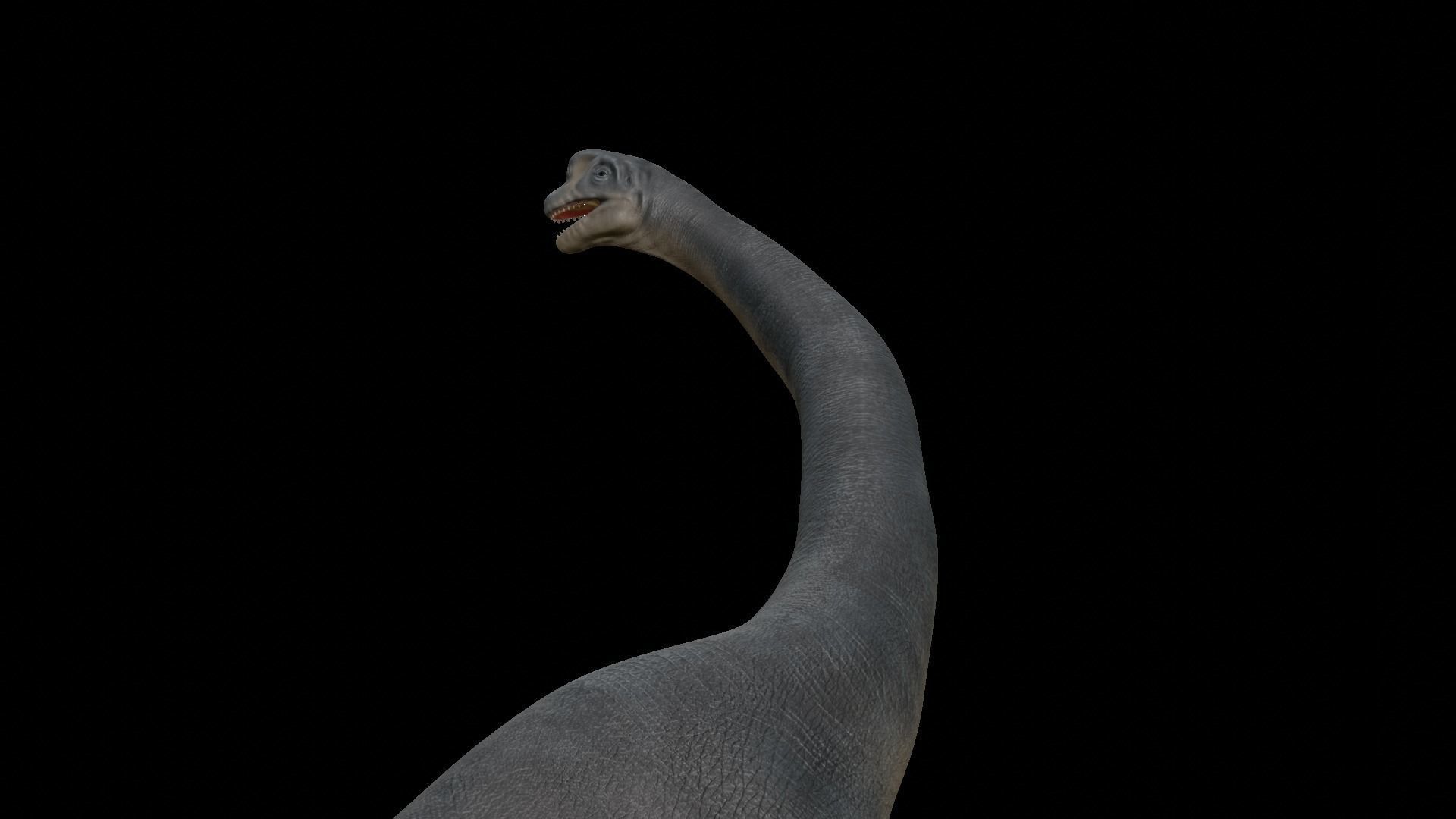 Brachiosaurus dinosaur Low-poly 3D Model  Low-poly 3D model_33