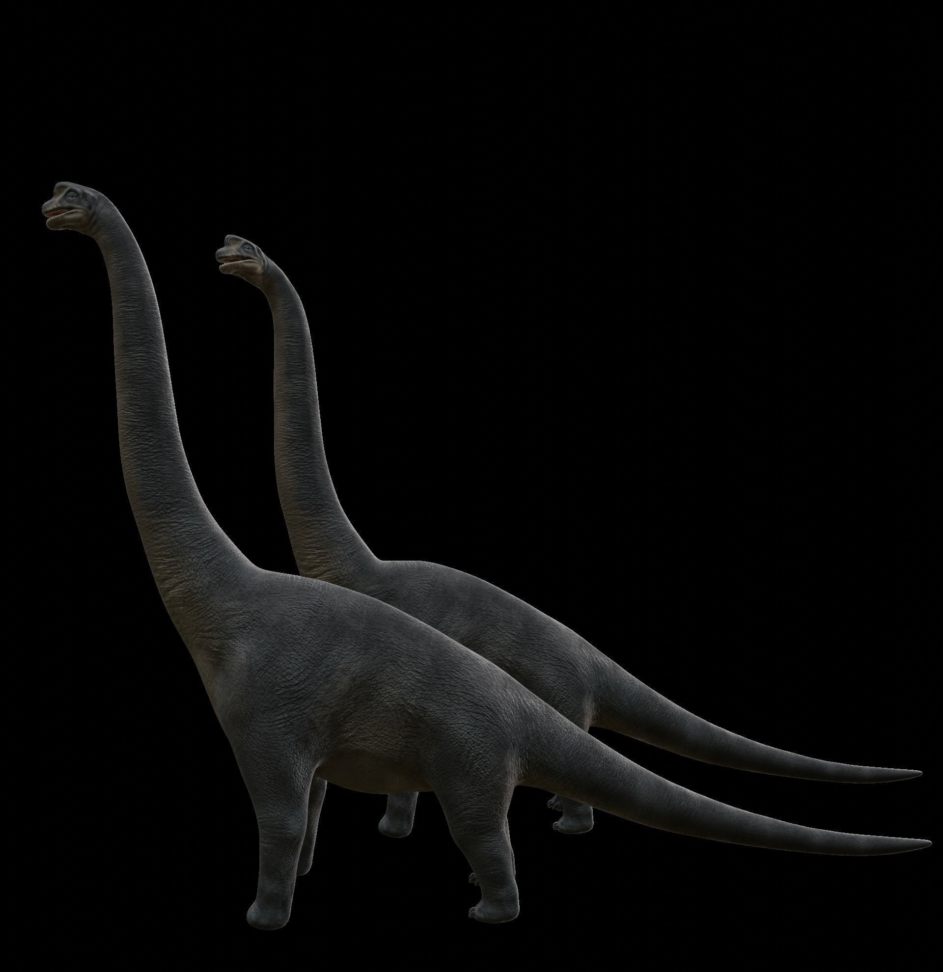 Brachiosaurus dinosaur Low-poly 3D Model  Low-poly 3D model_55