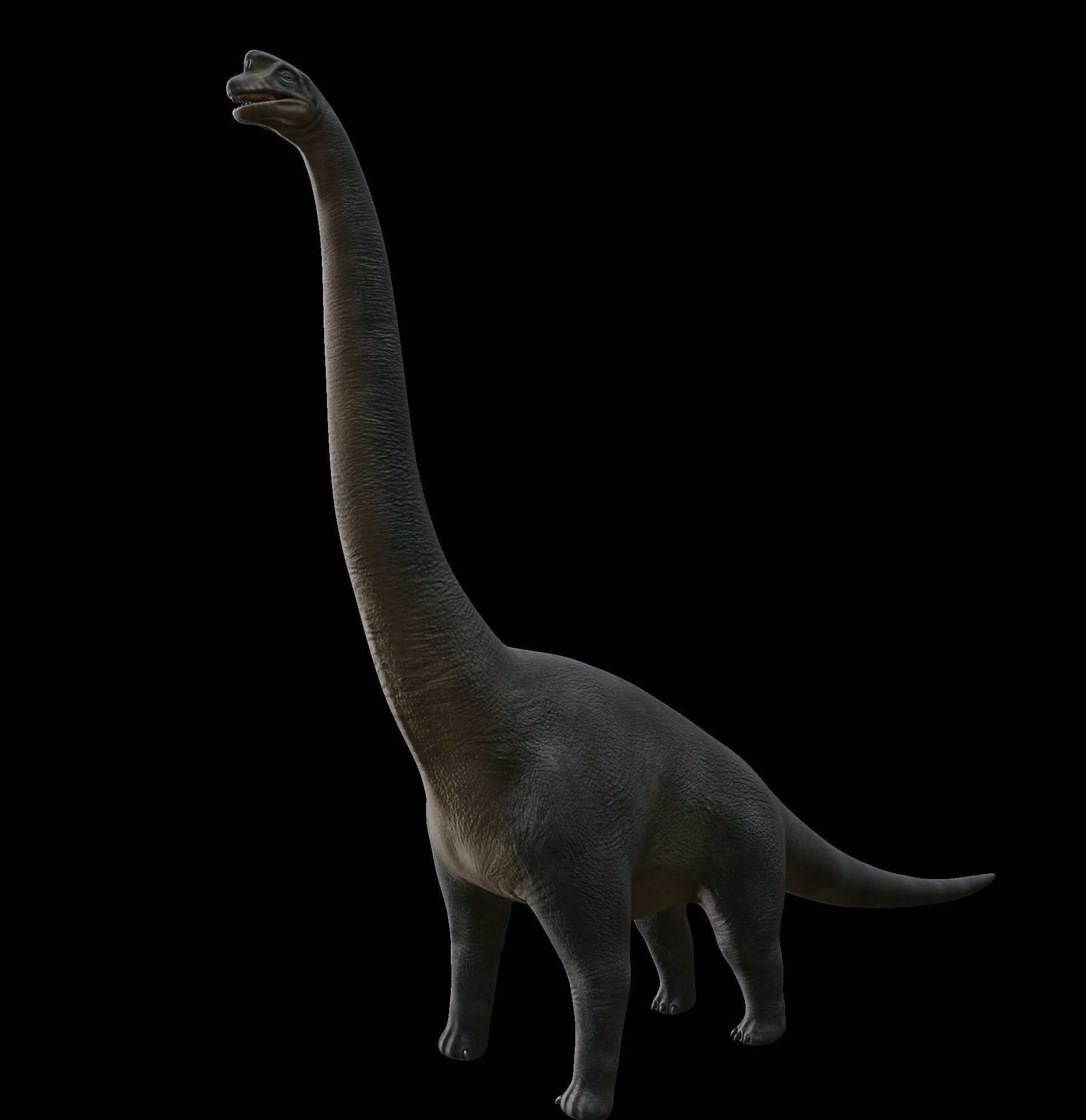 Brachiosaurus dinosaur Low-poly 3D Model  Low-poly 3D model_61