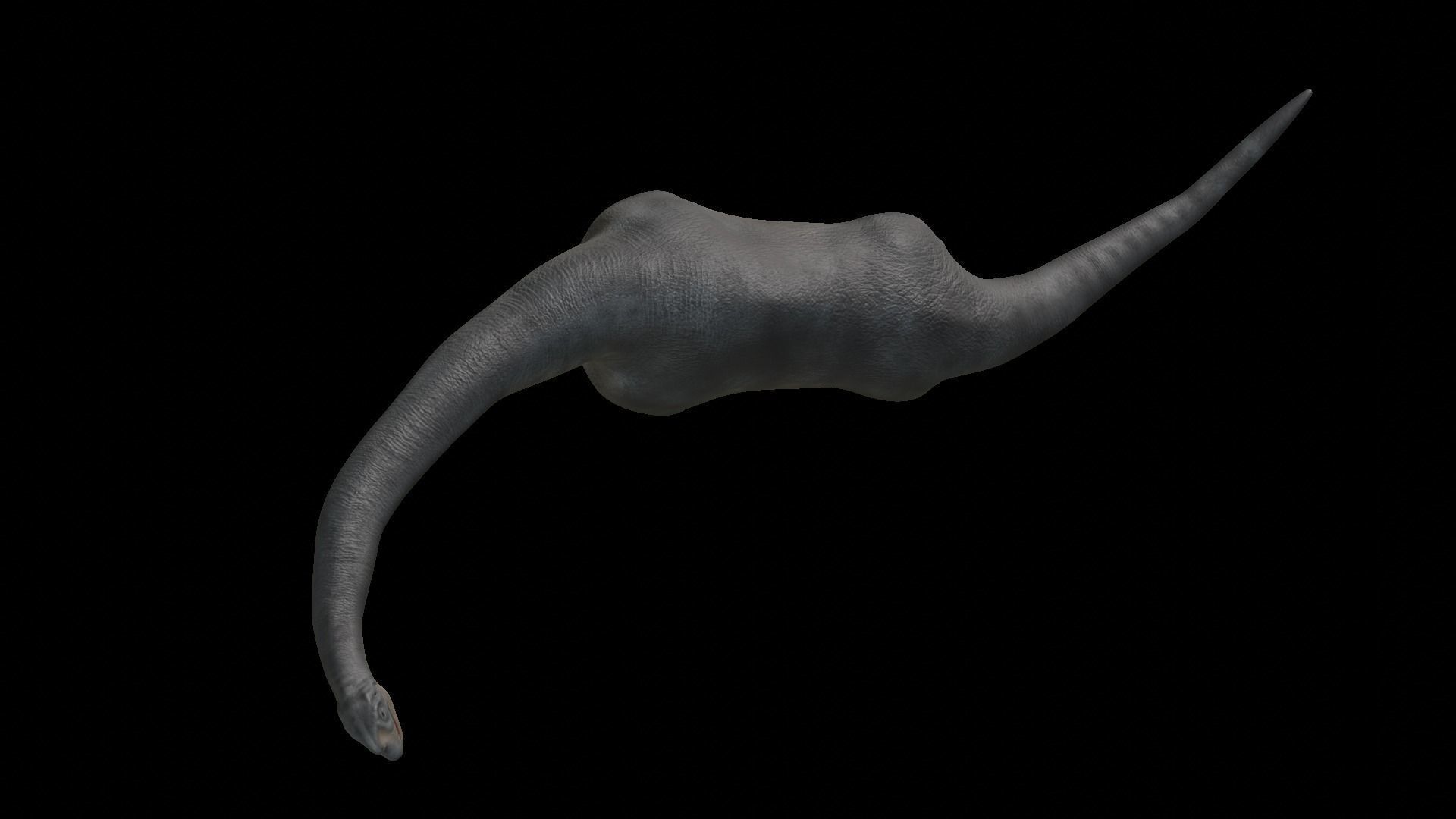 Brachiosaurus dinosaur Low-poly 3D Model  Low-poly 3D model_46