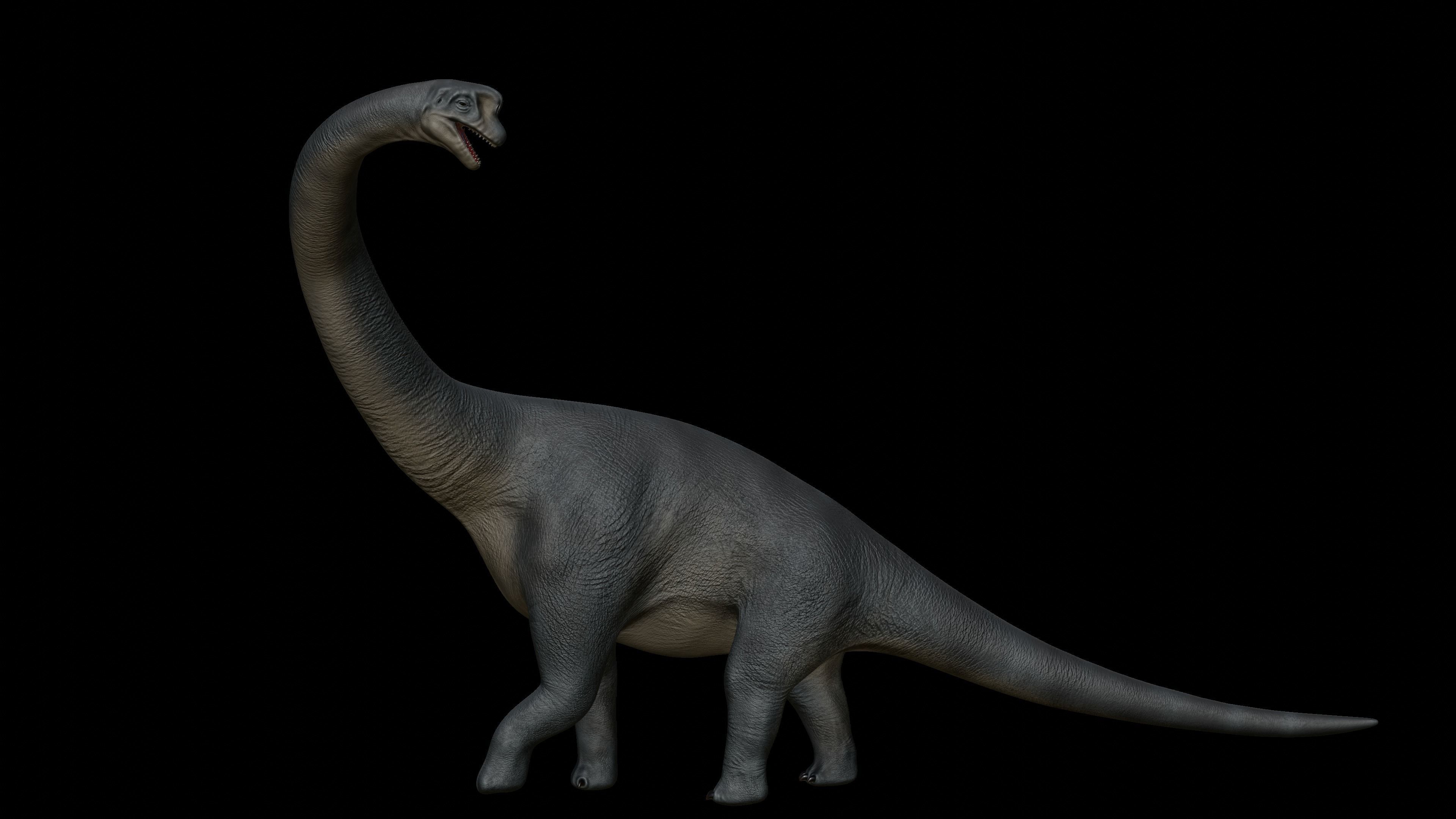 Brachiosaurus dinosaur Low-poly 3D Model  Low-poly 3D model_2