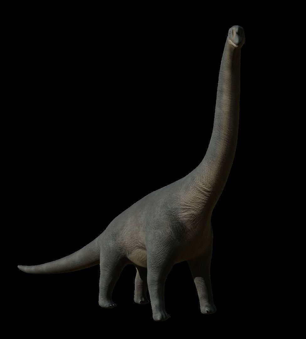 Brachiosaurus dinosaur Low-poly 3D Model  Low-poly 3D model_45