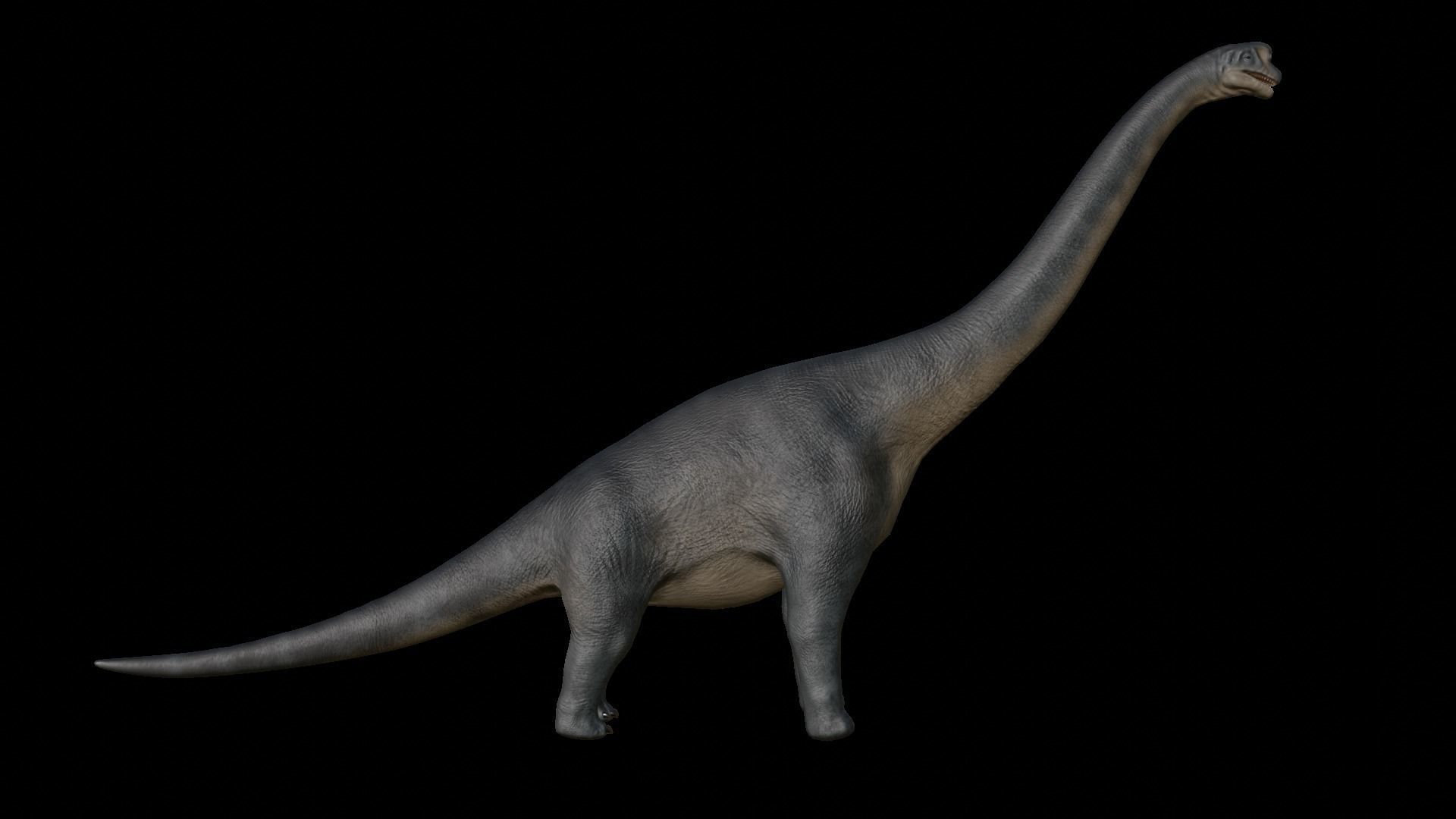 Brachiosaurus dinosaur Low-poly 3D Model  Low-poly 3D model_37