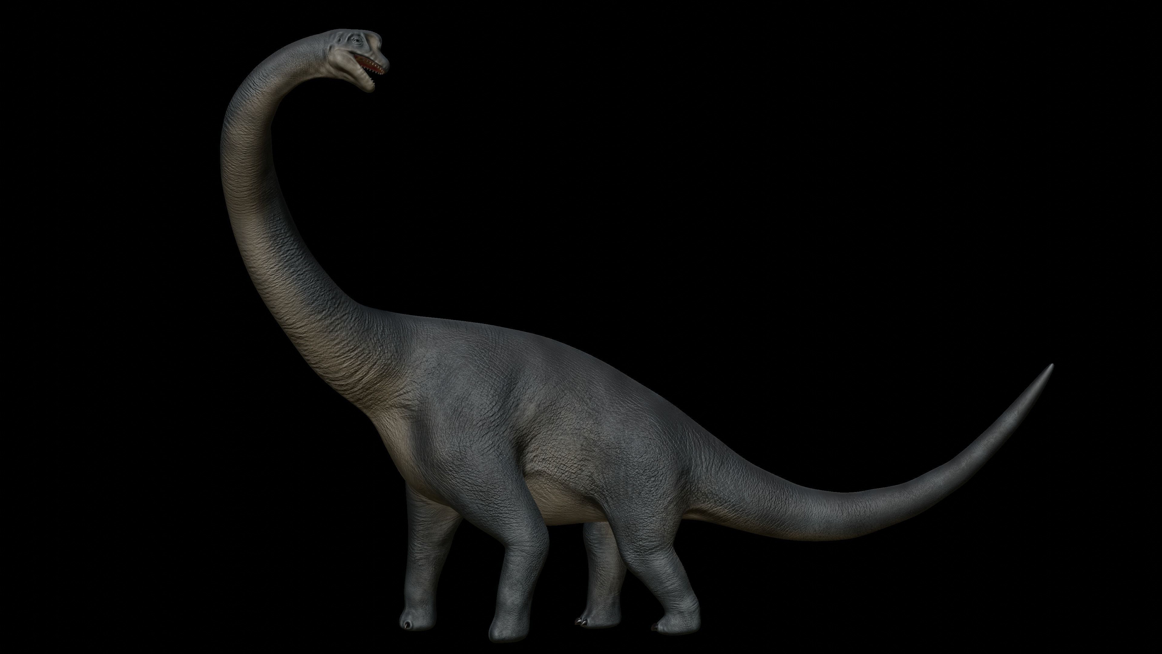 Brachiosaurus dinosaur Low-poly 3D Model  Low-poly 3D model_7