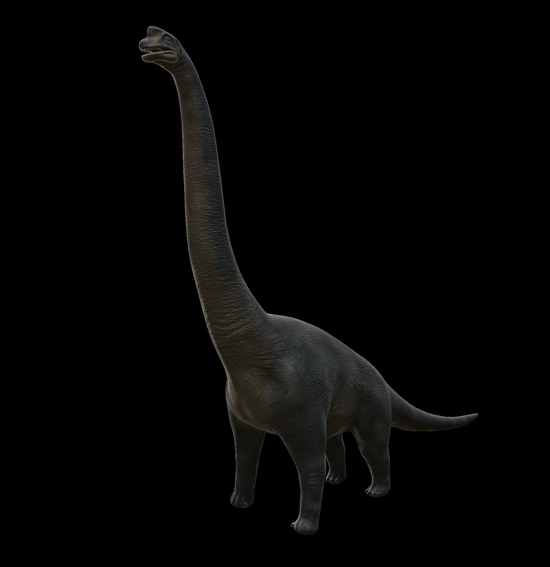 Brachiosaurus dinosaur Low-poly 3D Model  Low-poly 3D model_17
