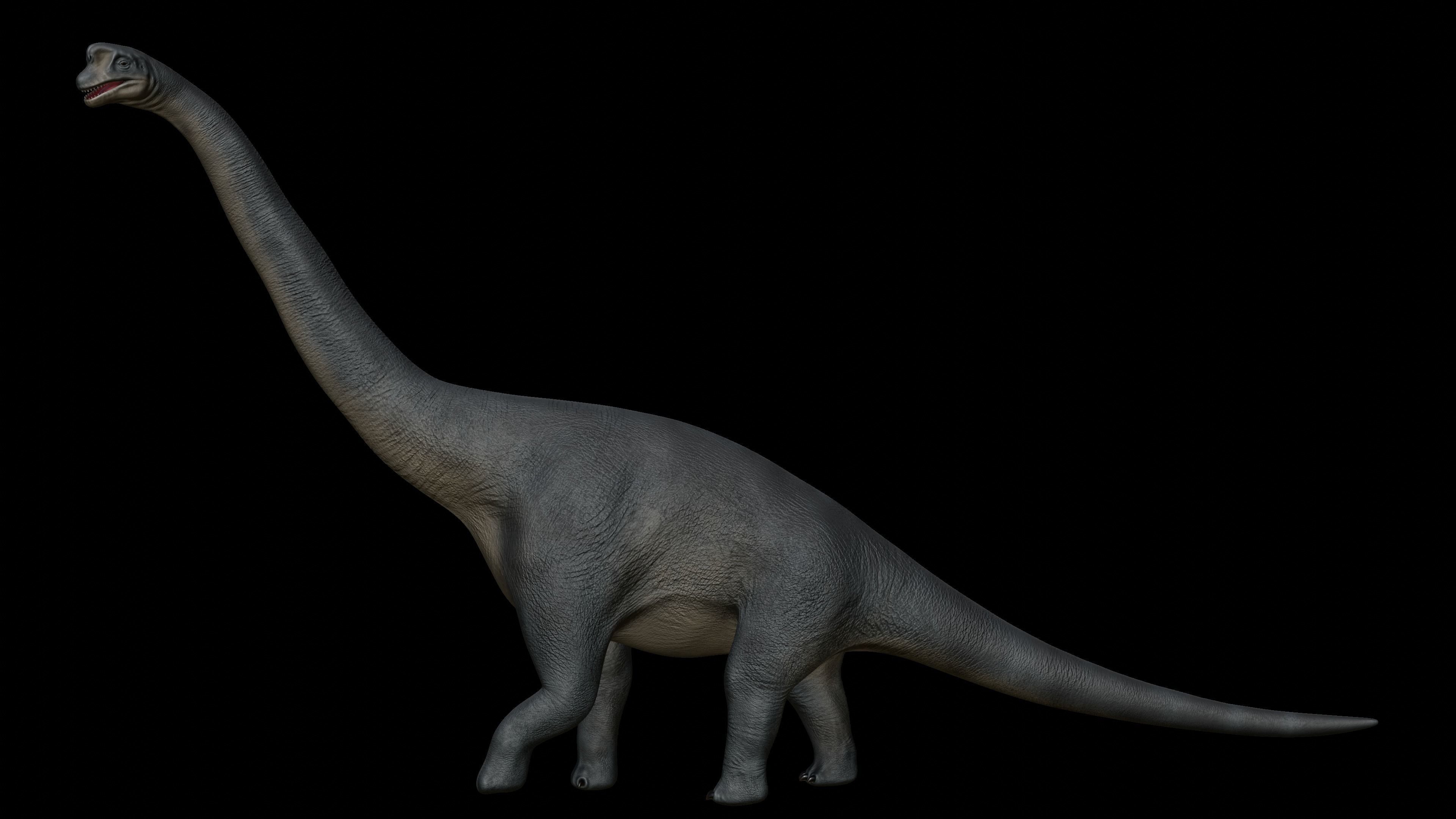 Brachiosaurus dinosaur Low-poly 3D Model  Low-poly 3D model_3