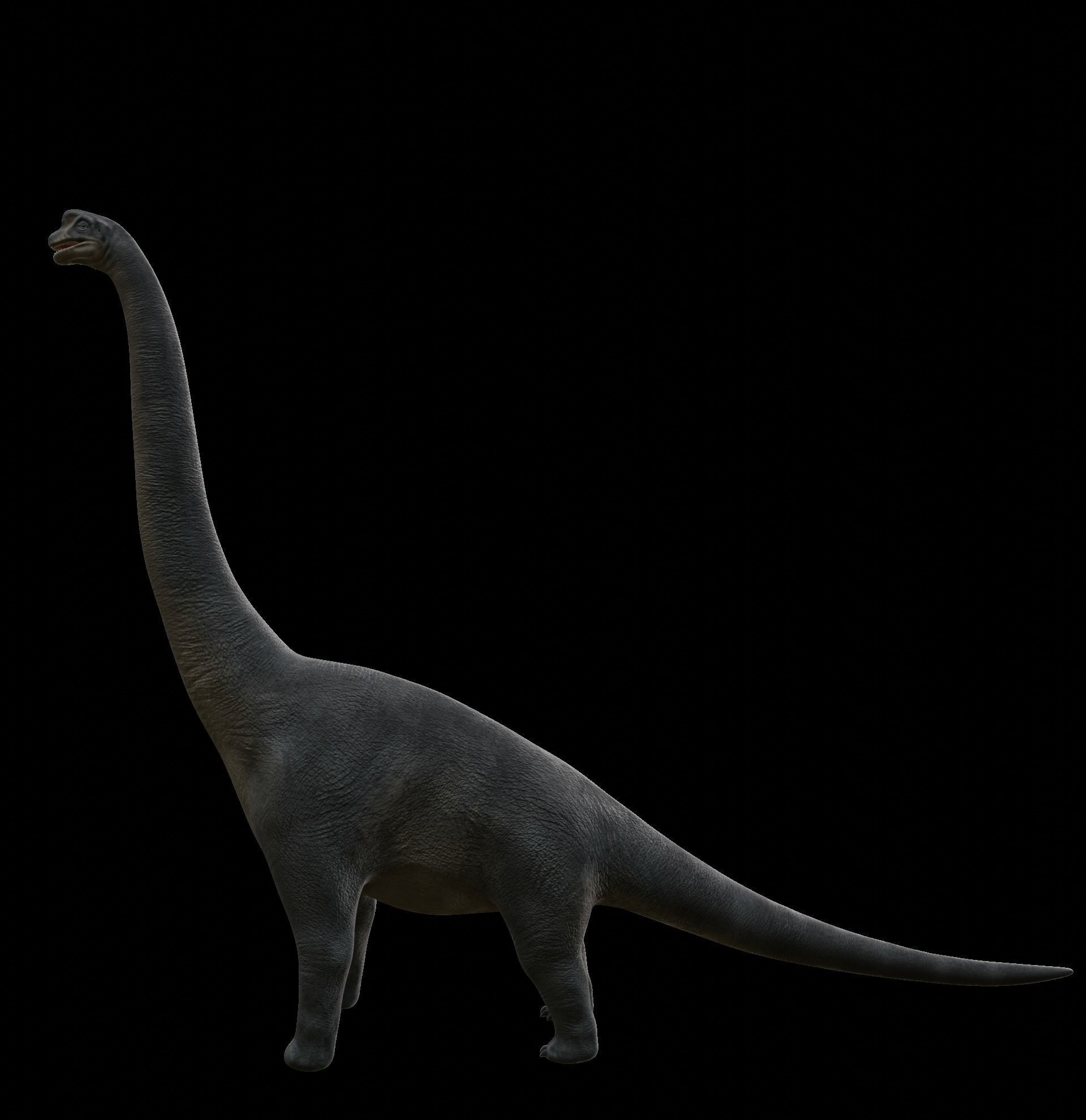 Brachiosaurus dinosaur Low-poly 3D Model  Low-poly 3D model_43