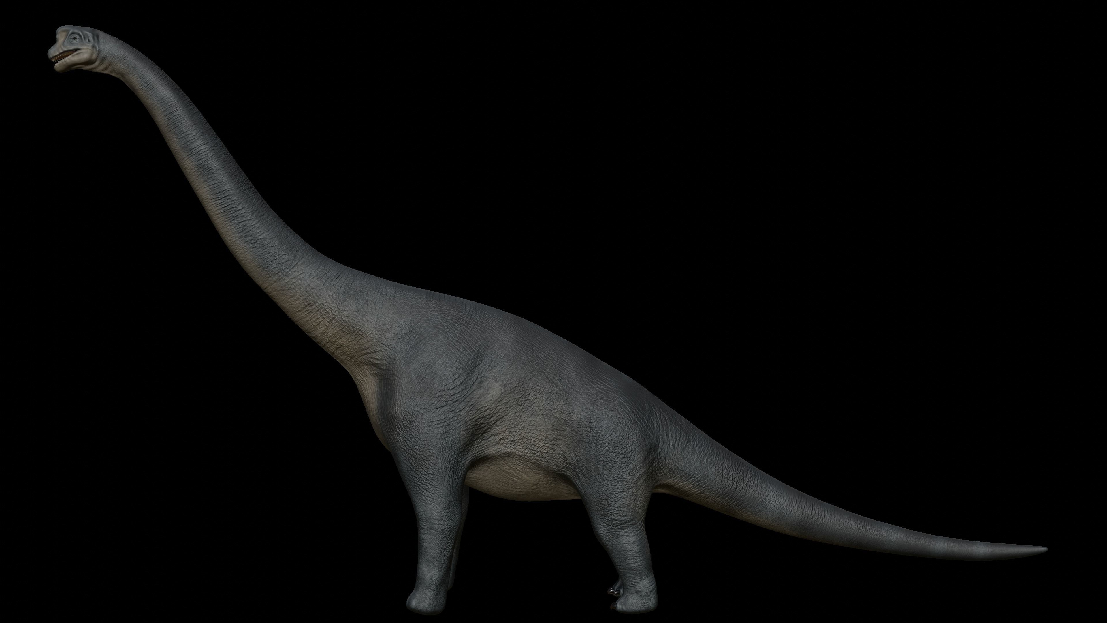 Brachiosaurus dinosaur Low-poly 3D Model  Low-poly 3D model_4
