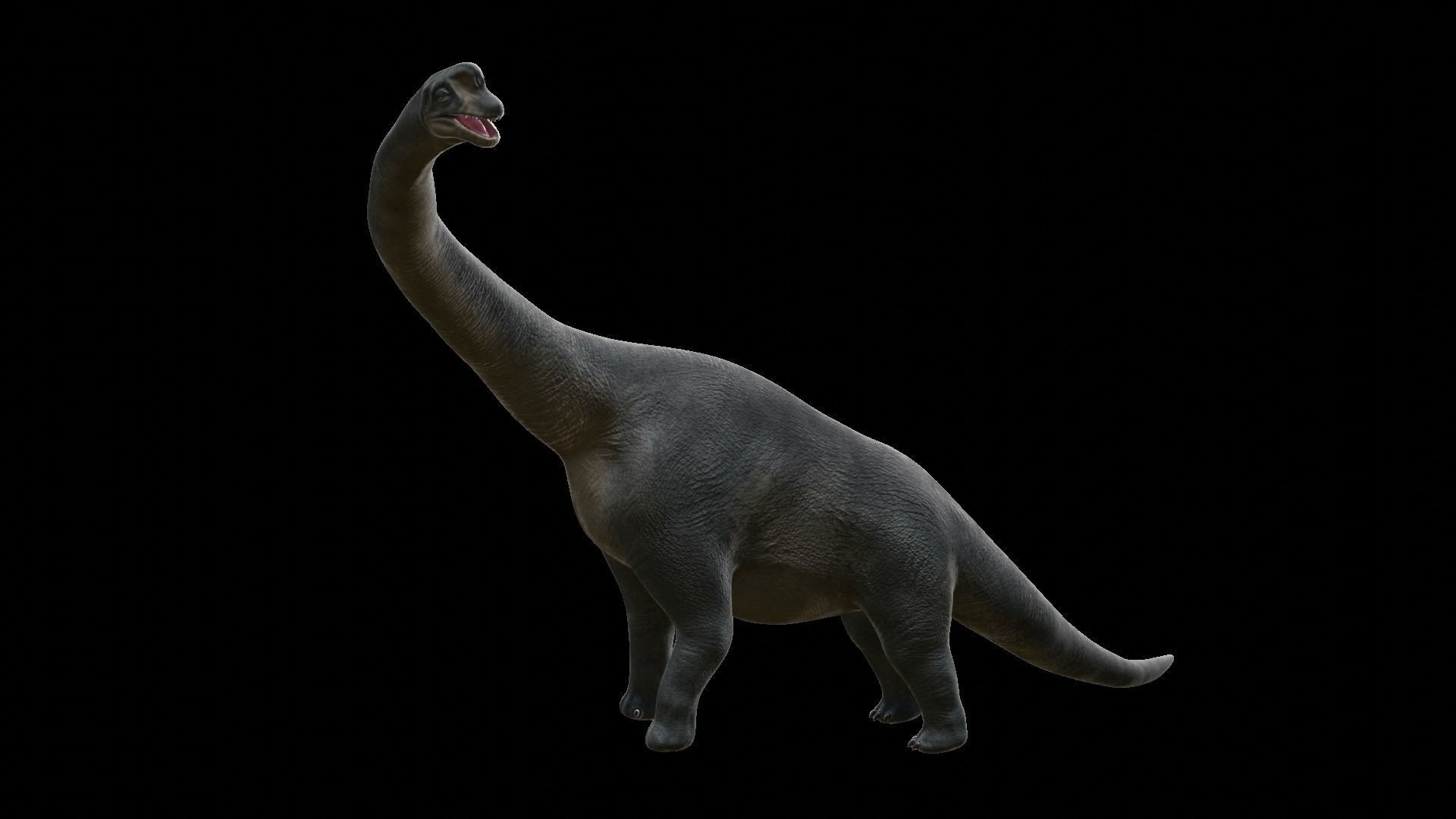 Brachiosaurus dinosaur Low-poly 3D Model  Low-poly 3D model_8