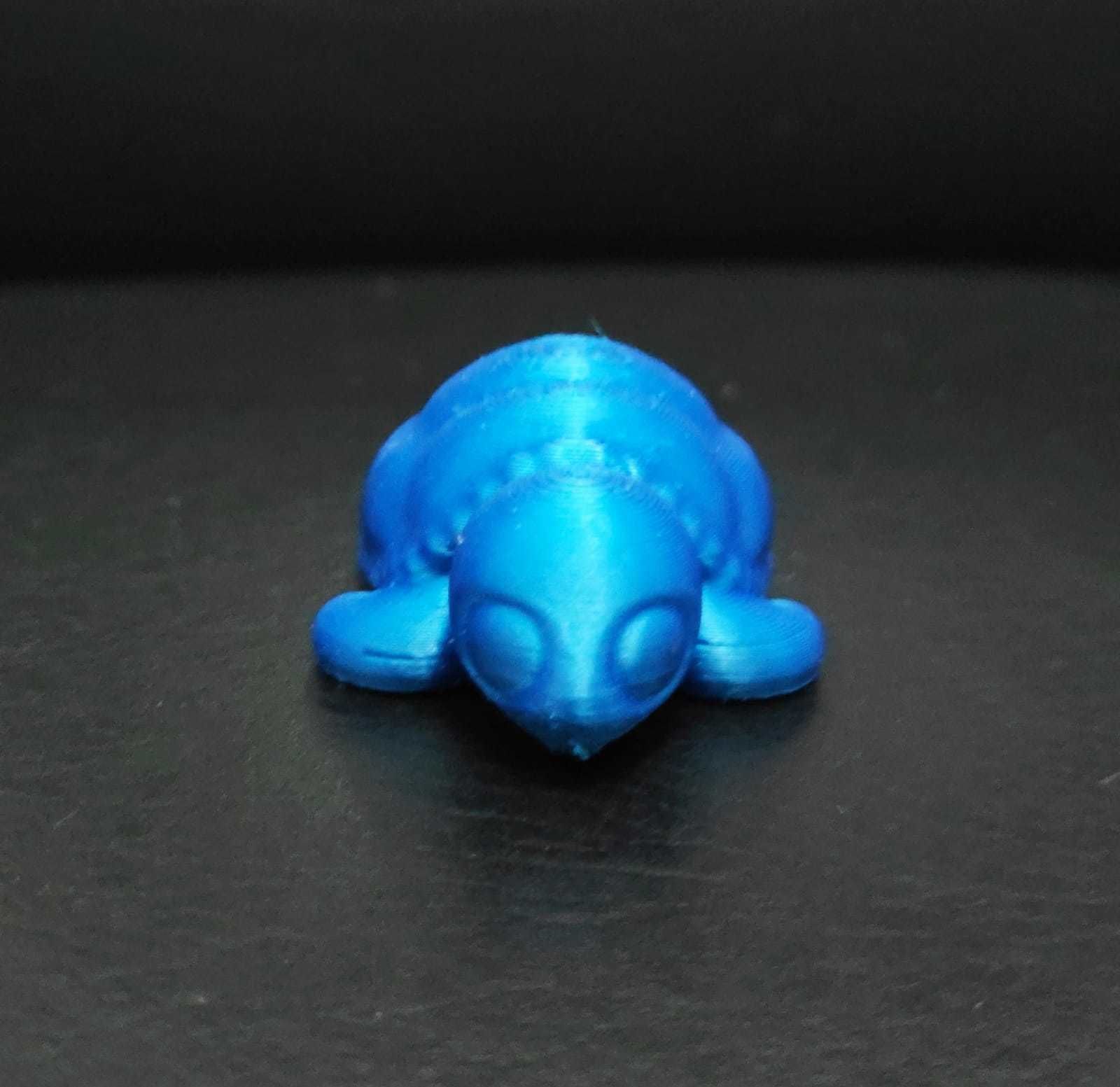 Sea Turtle 3D print model_11