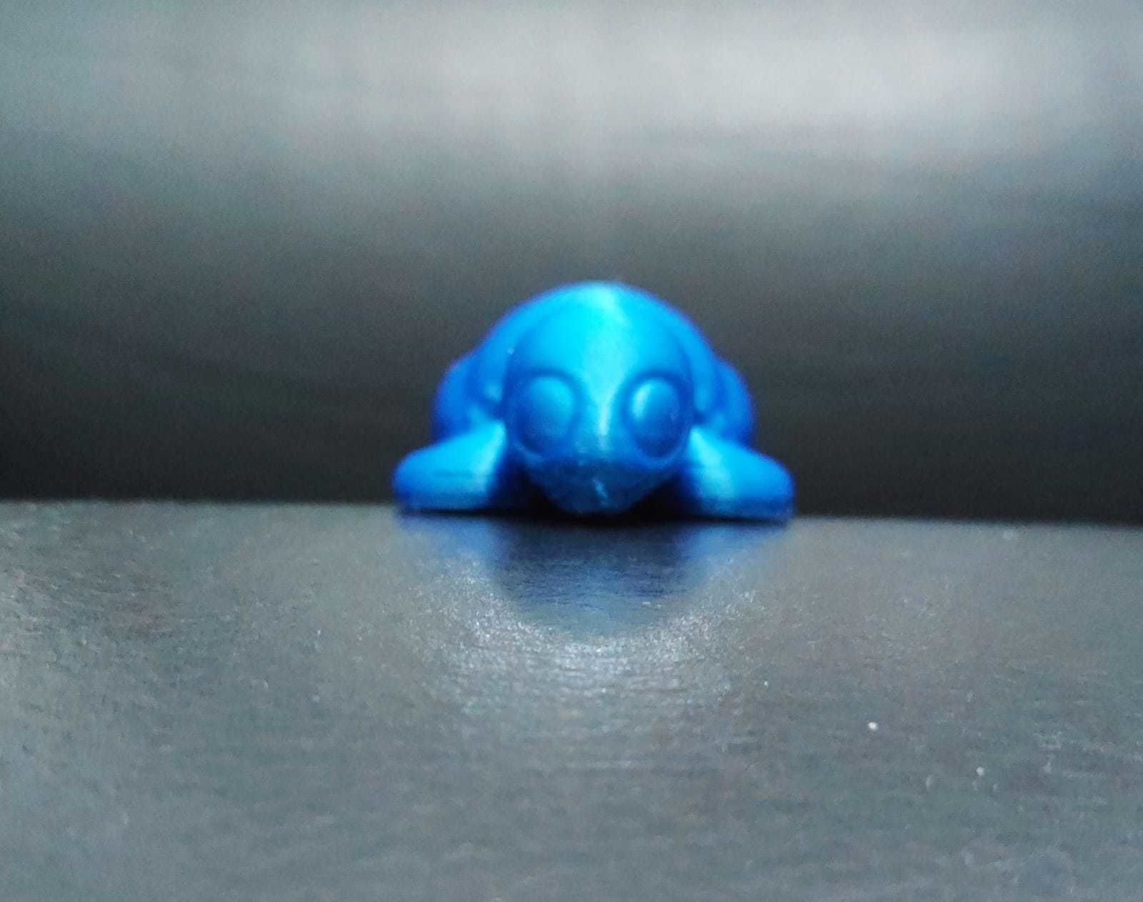 Sea Turtle 3D print model_6