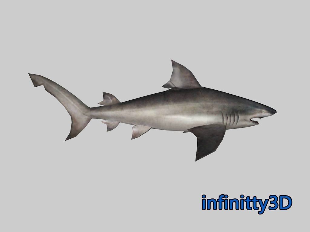 Coral Shark Pack  Low-poly 3D model_3