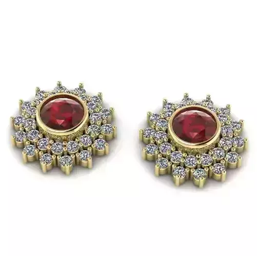 Earrings 1056