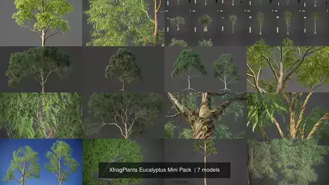 XfrogPlants Eucalyptus Mini Pack 