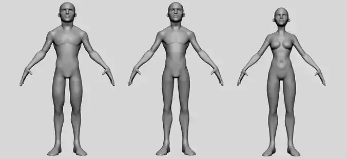 Base Stylized Models 3D model