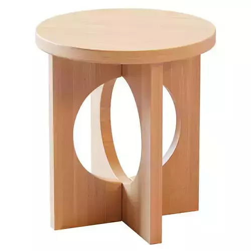 Tron Meyer Wood 3D model