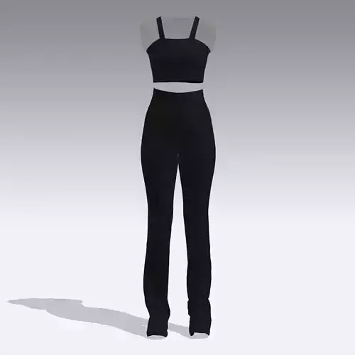 suit blouse and pant