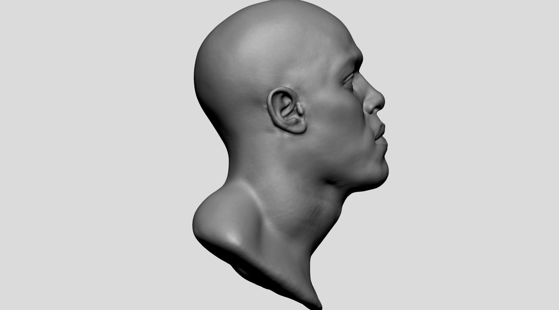 Male Head v8 3D model_2