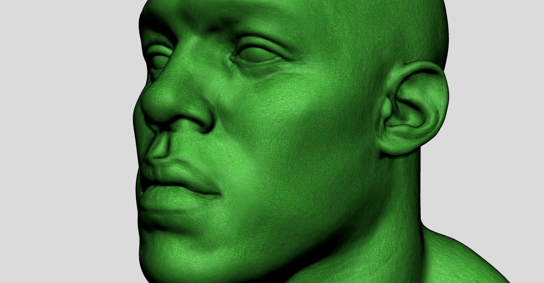 Male Head v8 3D model_13