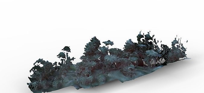 Jungle low res 3D model | CGTrader