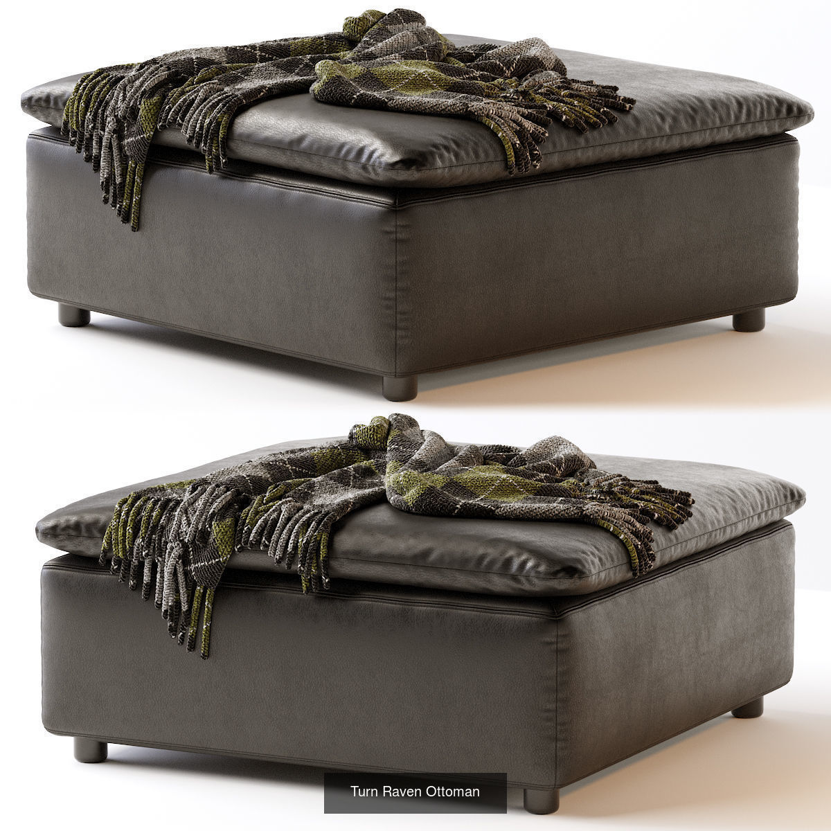 Pouf Ottoman 25 models 3D Model Collection_5