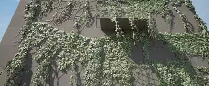 Optimized Ivy Pack Low-poly 3D model