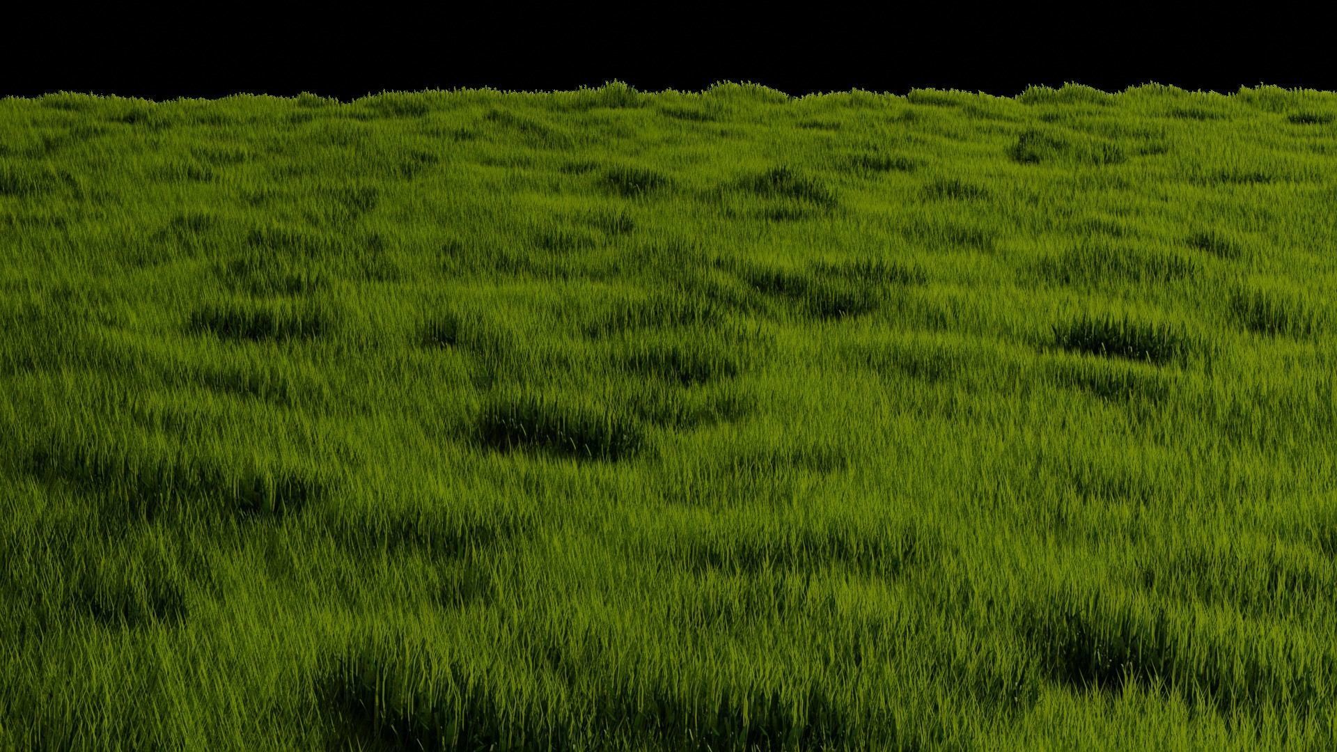 Blender High Poly Realistic Grass Design 3D model_6