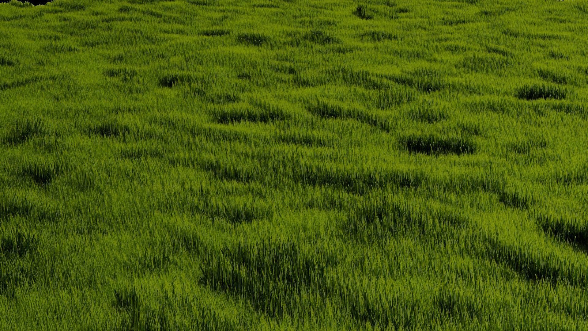 Blender High Poly Realistic Grass Design 3D model_9